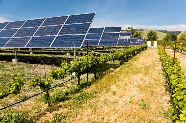 Impact des panneaux solaires sur l'agriculture: une nouvelle ère pour les fermes en 2024?