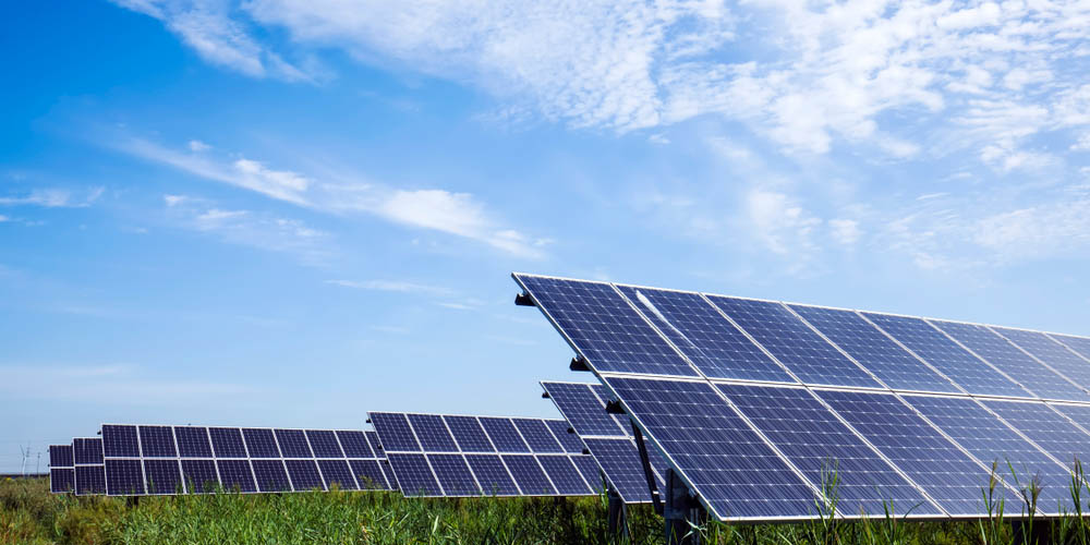Agrivoltaïque : l'invention d'un panneau solaire semi-transparent qui  stimule la croissance des végétaux - NeozOne