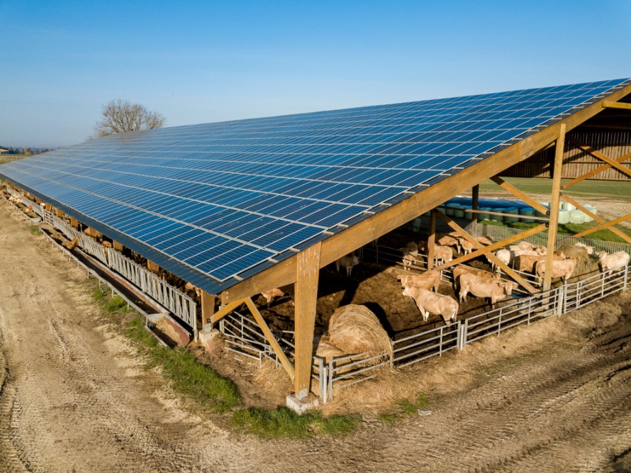 Quelles sont les démarches administratives pour installer des panneaux  solaires photovoltaïques ?