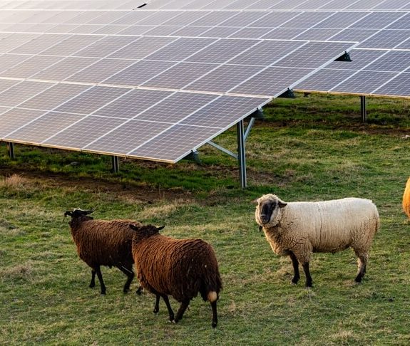 Compléter ses revenus avec une ferme solaire