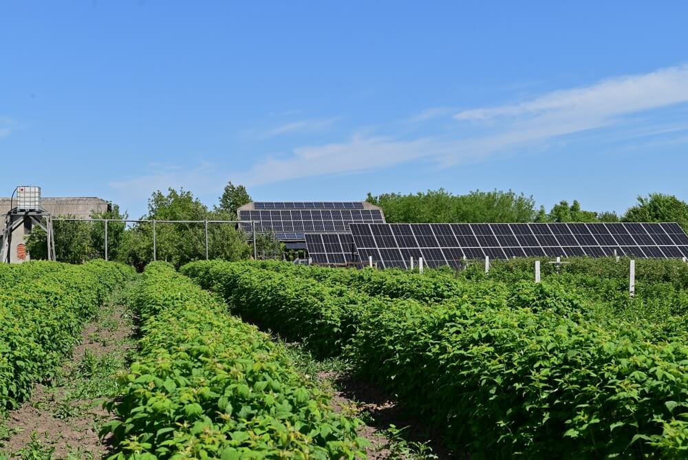 ombrières agrivoltaïques